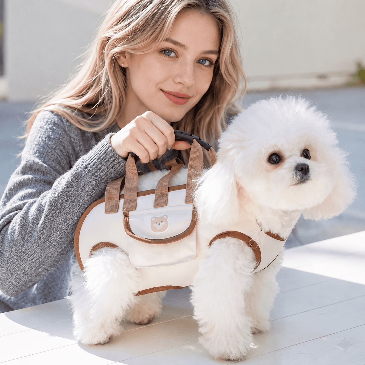 Premium Pet Carrier